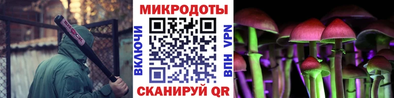 Галлюциногенные грибы Cubensis  Реутов 